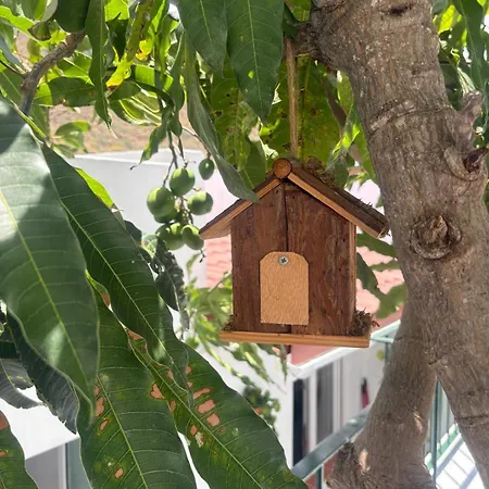 Paraiso De Anaga Appartamento Santa Cruz de Tenerife