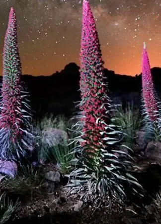 Paraiso De Anaga Santa Cruz de Tenerife