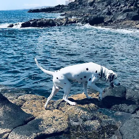 Paraiso De Anaga *